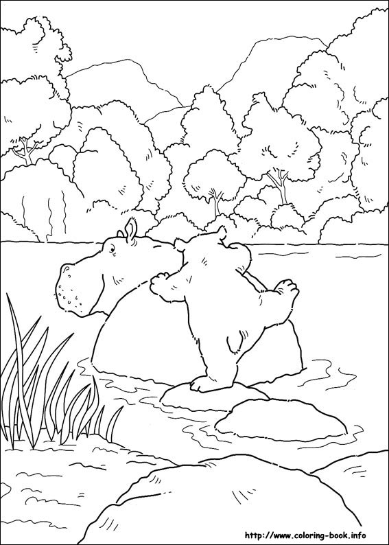 Little Polar Bear coloring picture